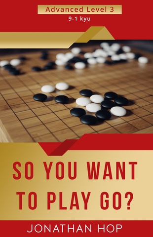 So You Want to Play Go?